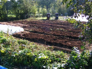 field scale raised beds for drainage with an annual application of compost/fertilizer